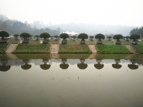 水景園林
