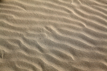 沙漠
