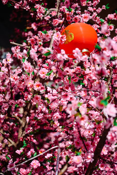 紅燈籠 春節(jié) 文化 喜慶 祝福