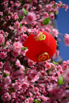 紅燈籠 春節(jié) 文化 喜慶 祝福