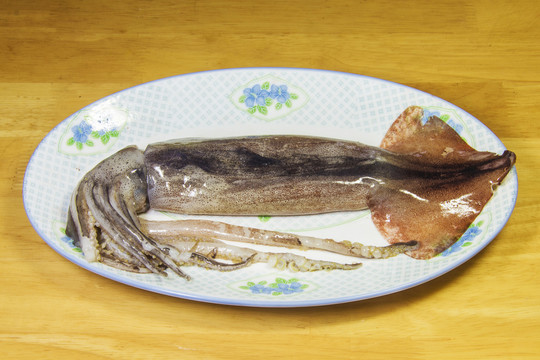 一條生魷魚