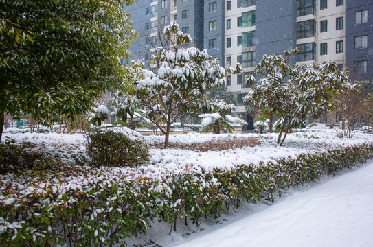 小區(qū)雪景