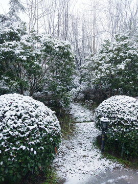 花園雪景