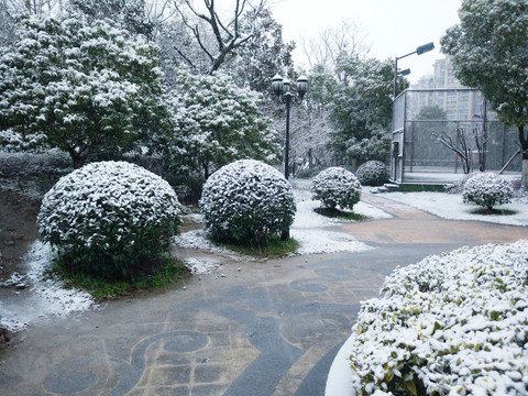 花園雪景