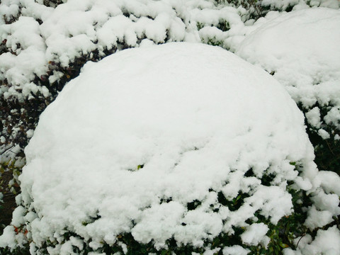 雪疙瘩