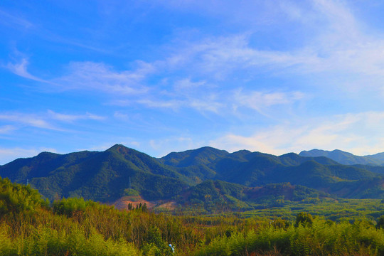 山林