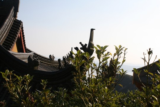 舟山