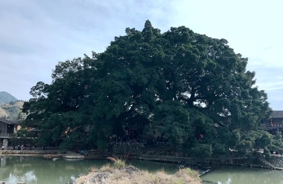 云水謠 長(zhǎng)教 福建