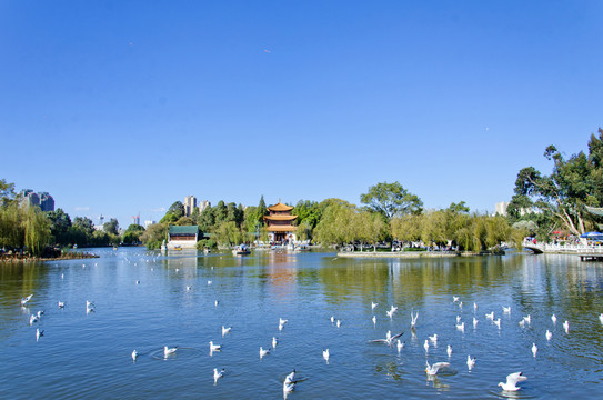 昆明大觀公園