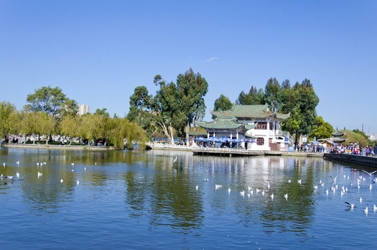 昆明大觀公園