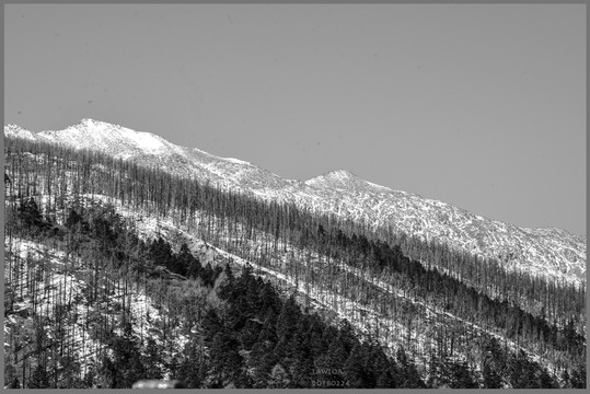 木格措雪山黑白圖