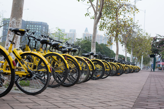OfO小黃車