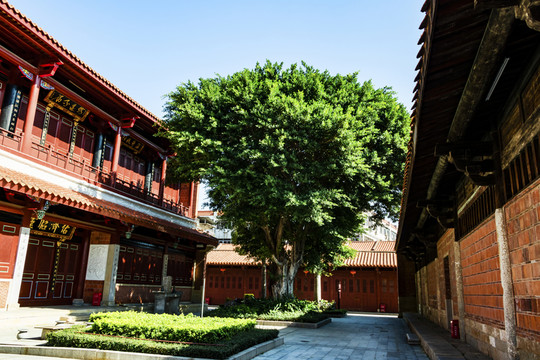 大厝圖片