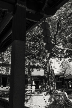 古厝圖片