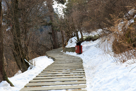 西岳华山 台阶