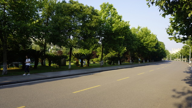 校園道路