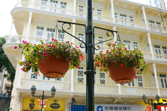 城市花籃 城市綠化