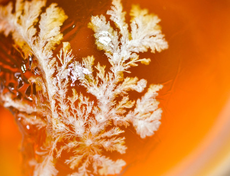 松花蛋 皮蛋 雪花特寫