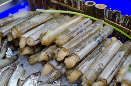海鮮自助餐 竹蟶