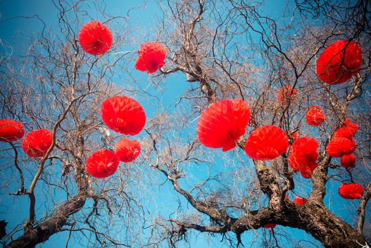 大紅燈籠 高高掛