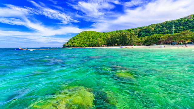 海豚島 海島