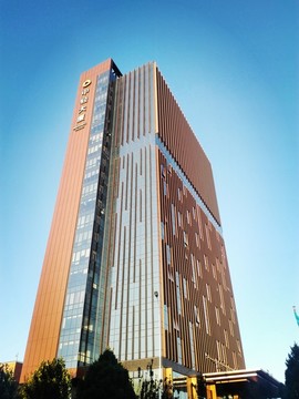 北京望京中輕大廈
