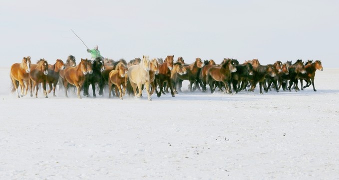 牧馬