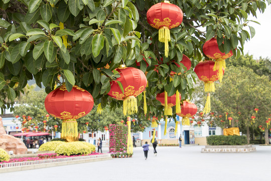深圳小梅沙海洋世界廣場(chǎng)