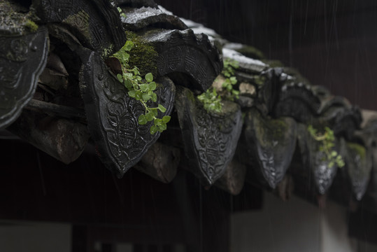 屋檐