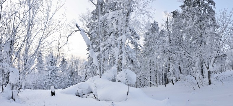 雪鄉(xiāng)風情雙峰林場