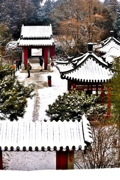 庭院雪景