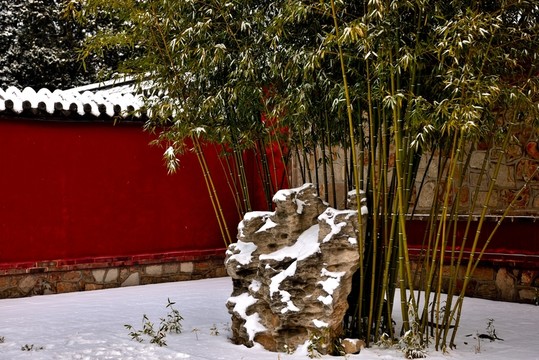 假山翠竹白雪紅墻
