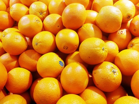 臍橙 進(jìn)口水果
