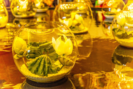 澳門葡京酒店大堂蓮花