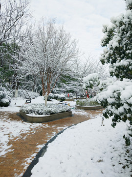 都市花園雪景