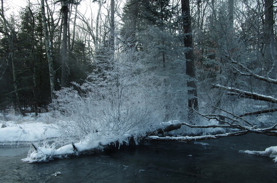 雪鄉(xiāng)風(fēng)景魔界斷木