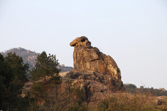 獸型石頭