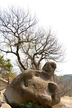 蘇州靈巖山 龜石