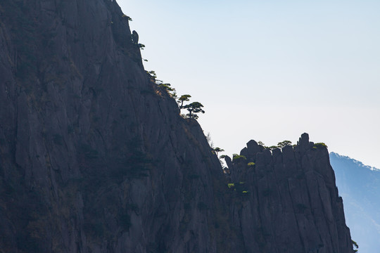 黃山