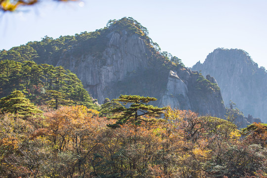 黃山
