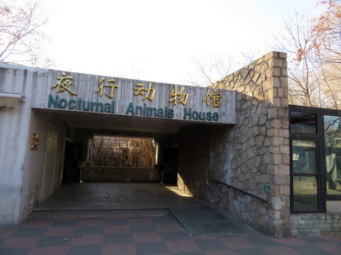 北京動物園夜行動物館