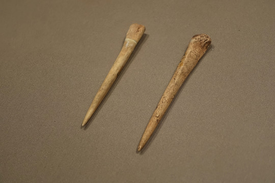 骨錐 西藏博物館