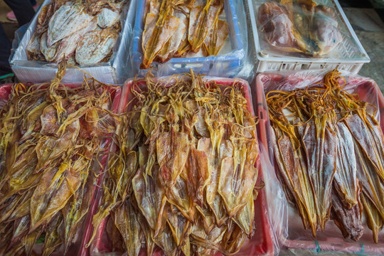 魷魚干