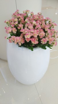 花卉