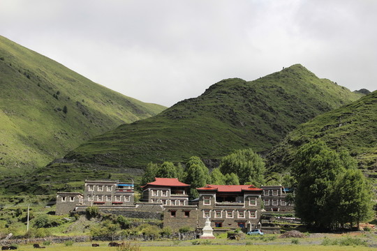 藏地密碼