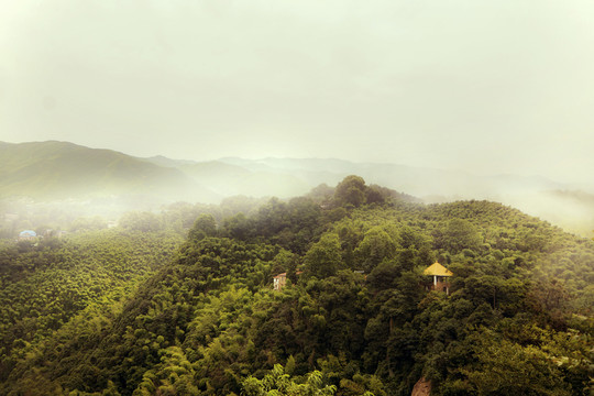 莫干山