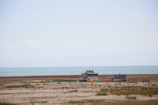 青海湖畔