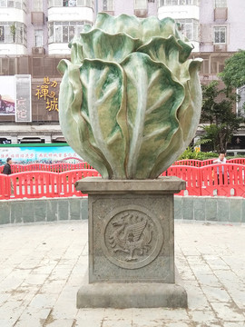 生菜