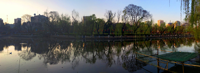 翠湖早晨 全景圖