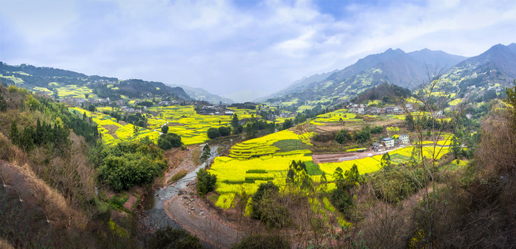 中都油菜花 高清全景大圖